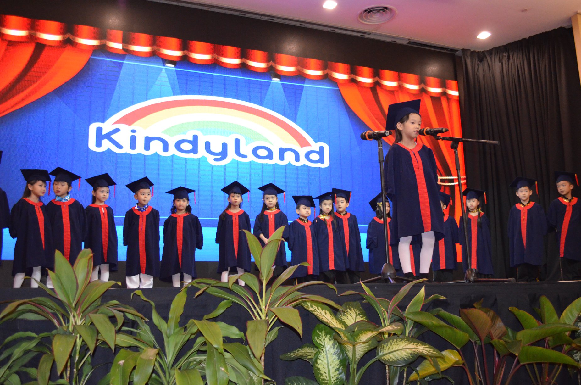 Kindyland Tropicana