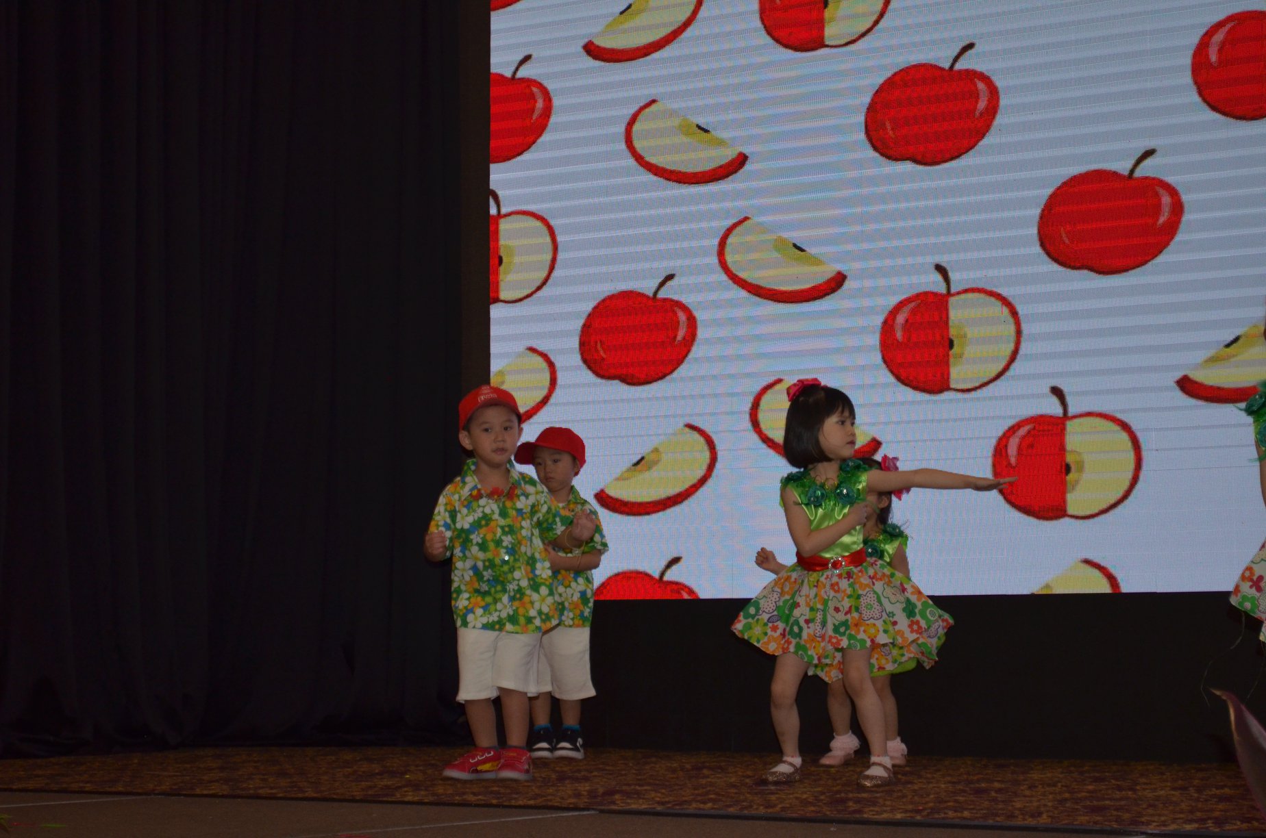 Kindyland Tropicana
