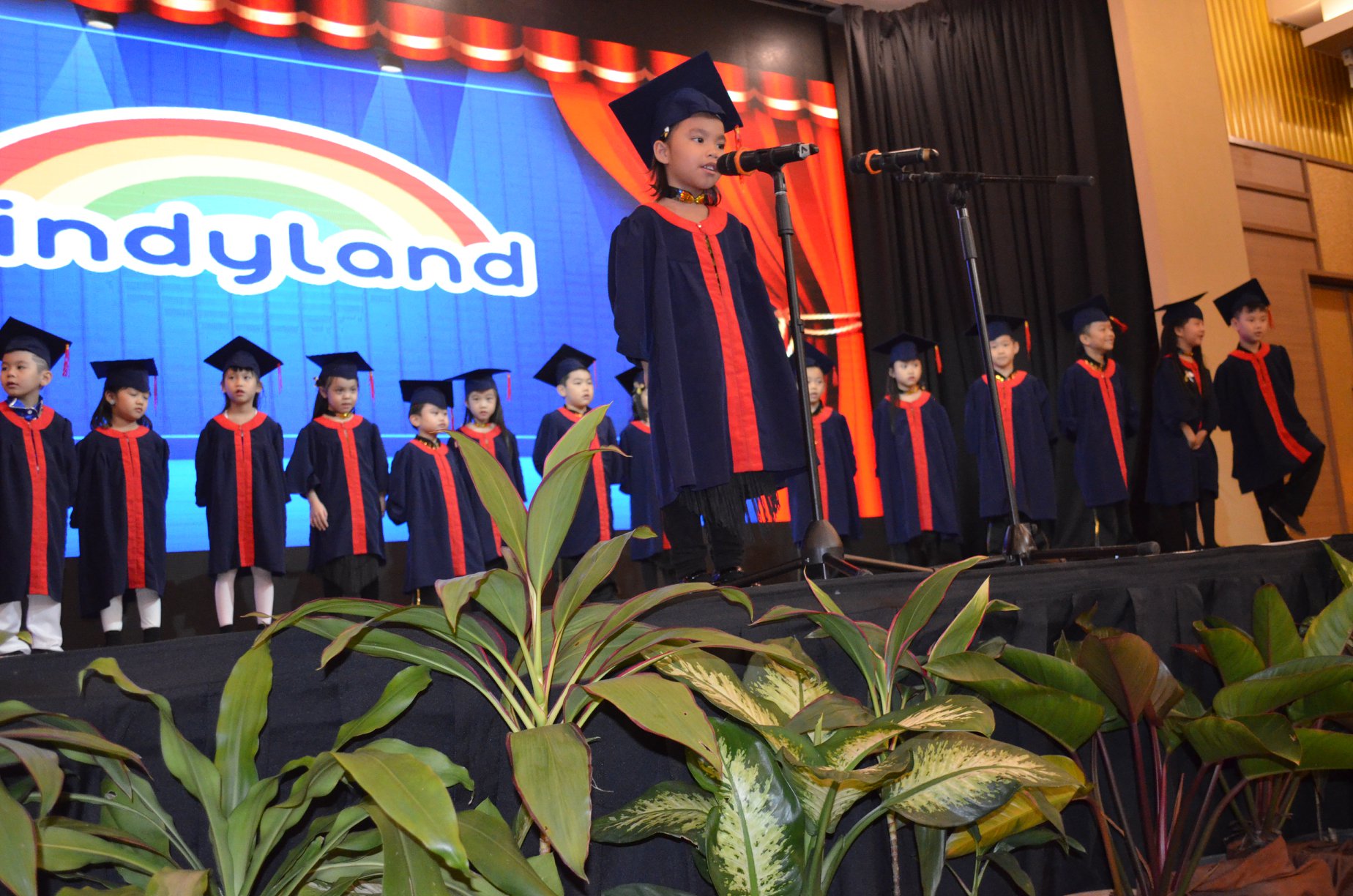 Kindyland Tropicana