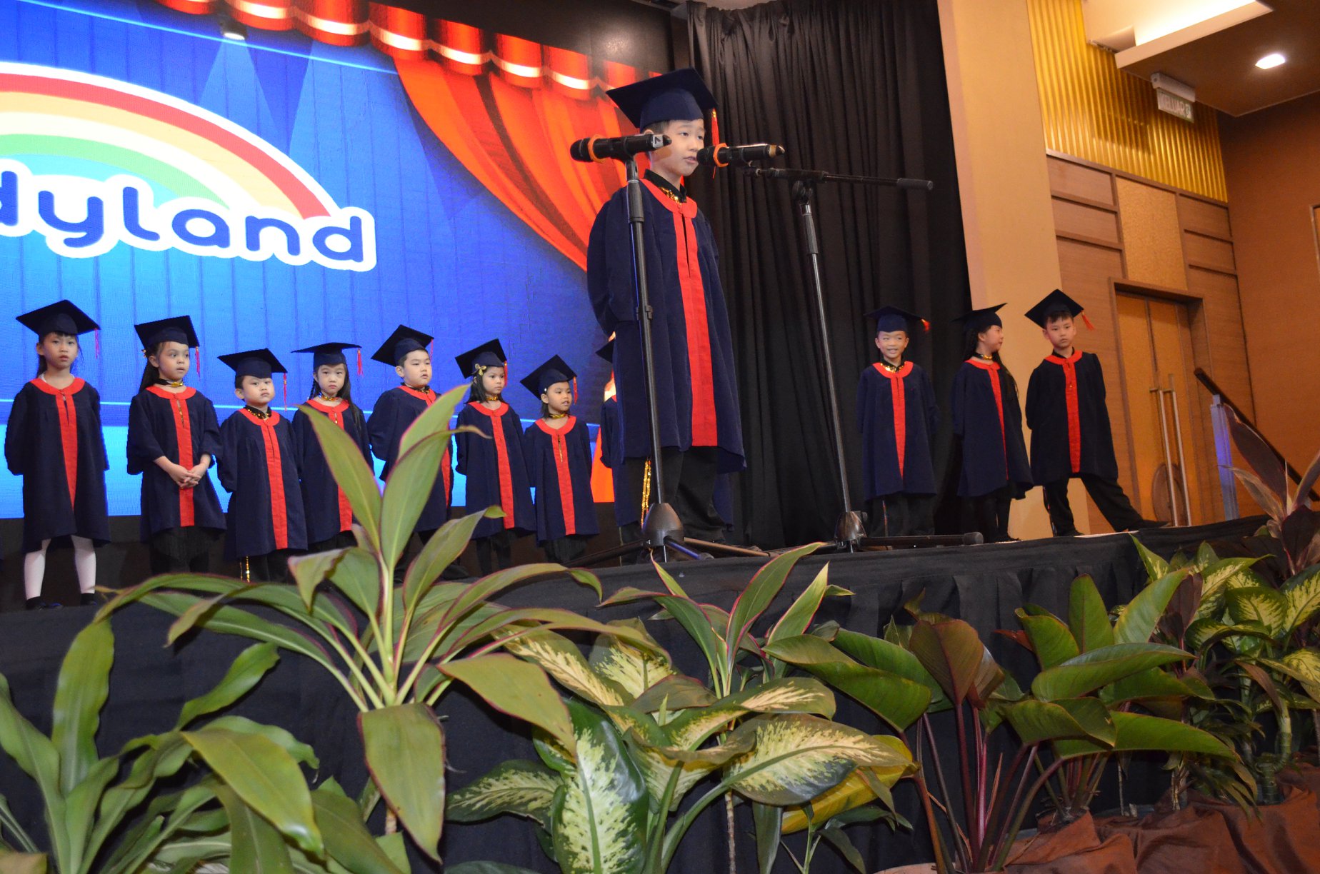 Kindyland Tropicana