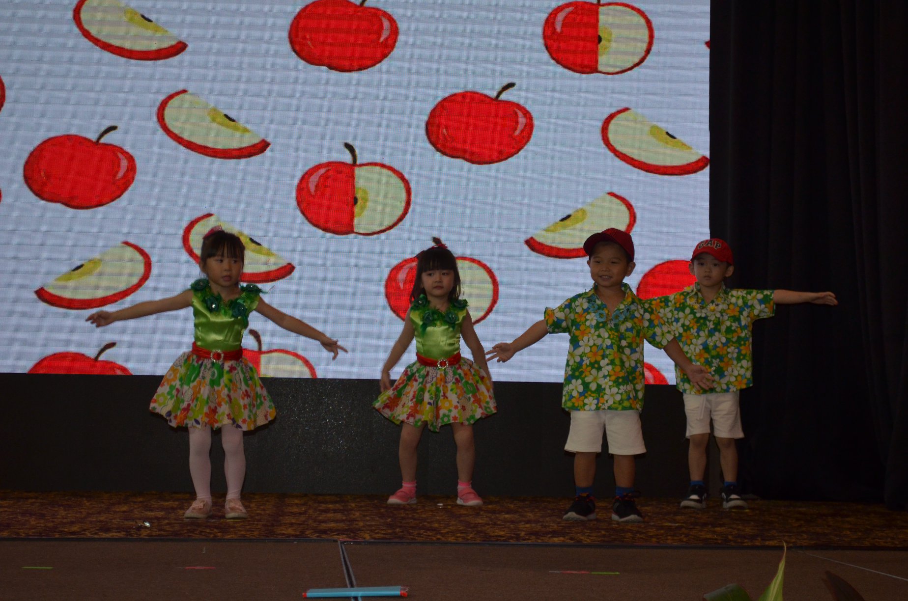 Kindyland Tropicana