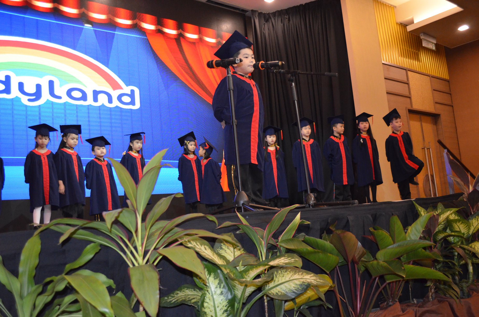 Kindyland Tropicana