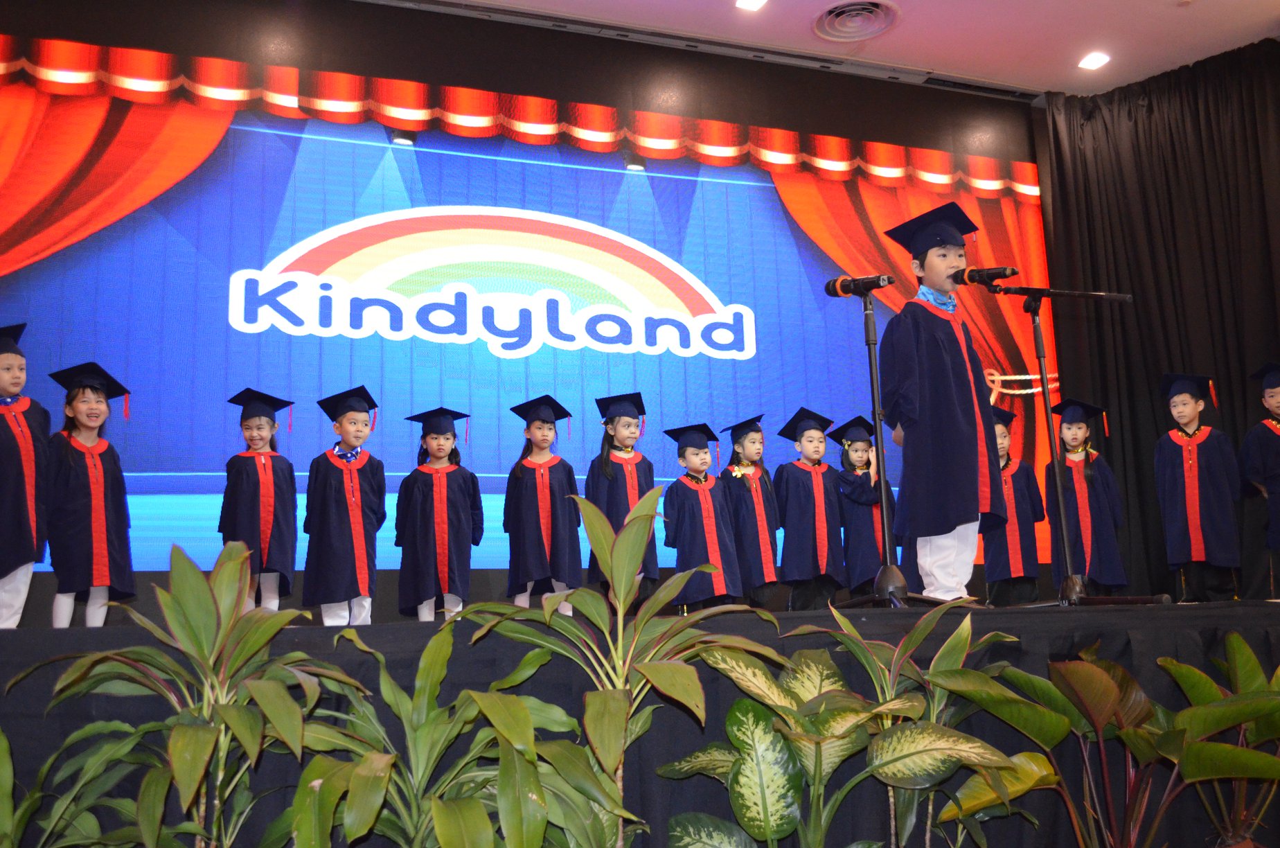 Kindyland Tropicana
