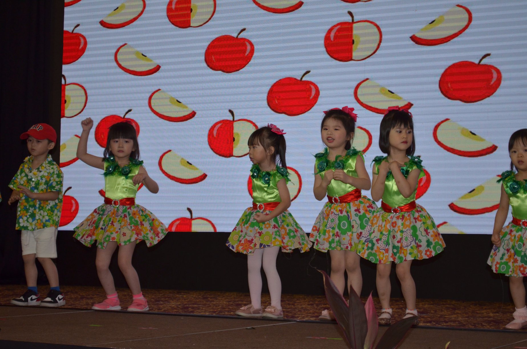 Kindyland Tropicana
