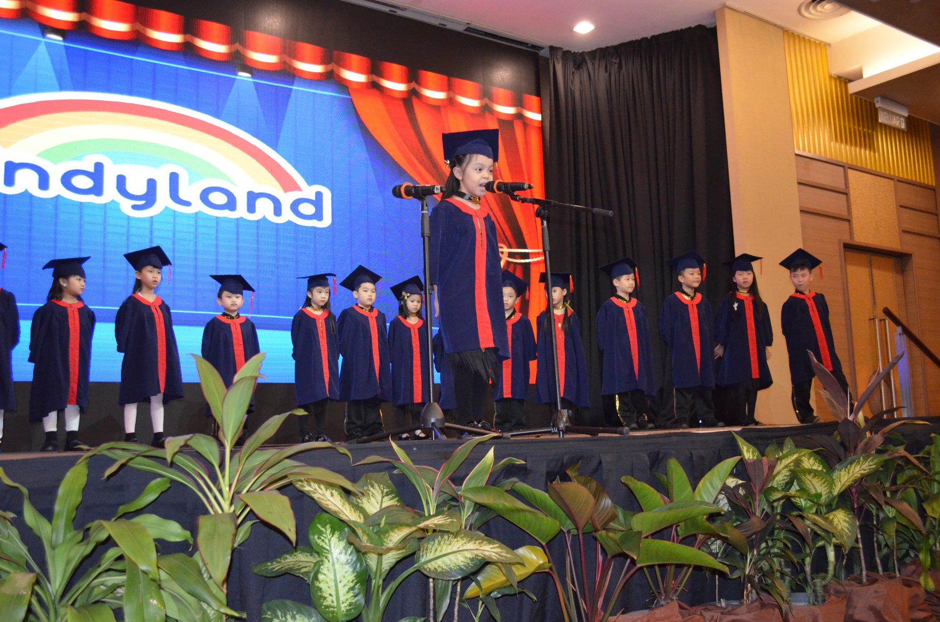 Kindyland Tropicana