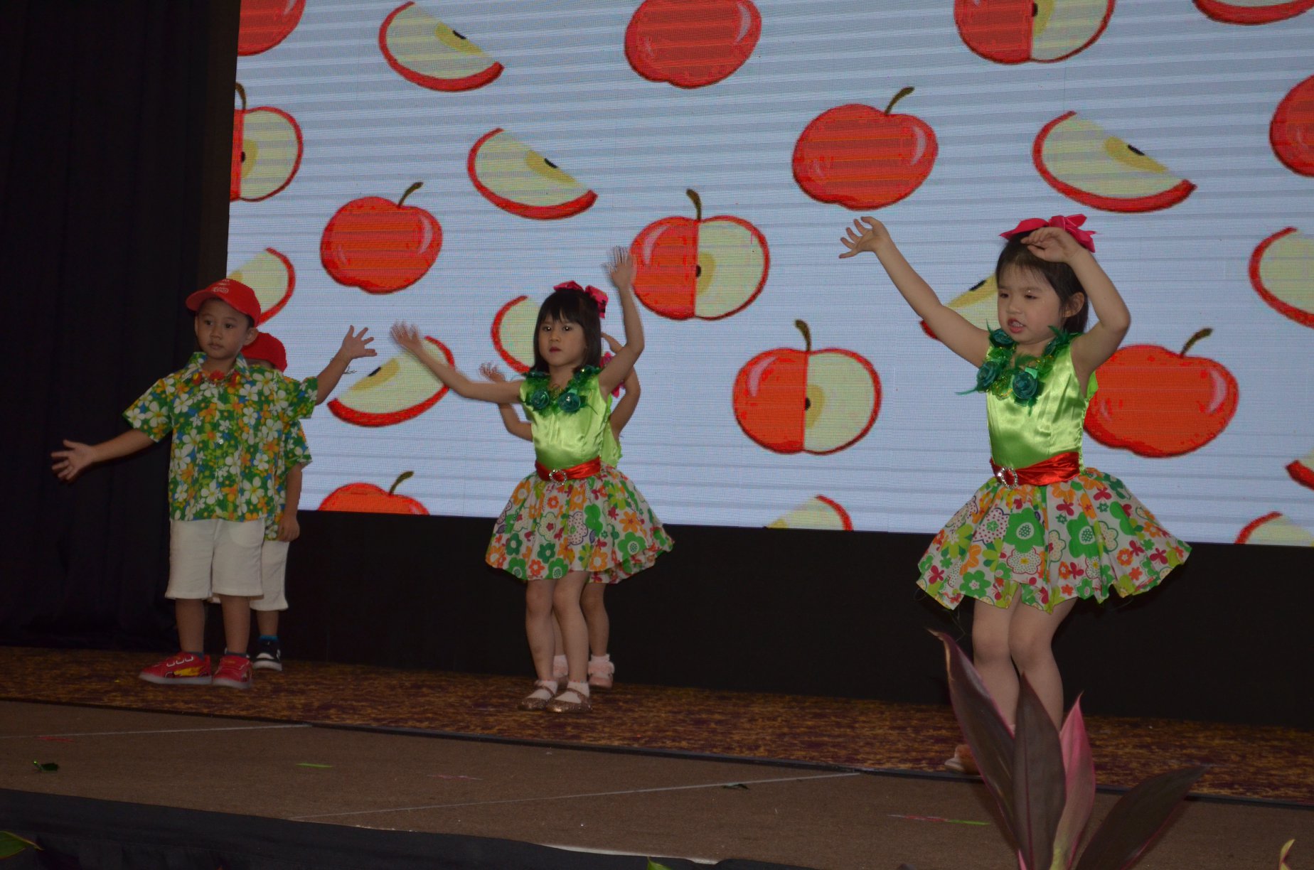 Kindyland Tropicana