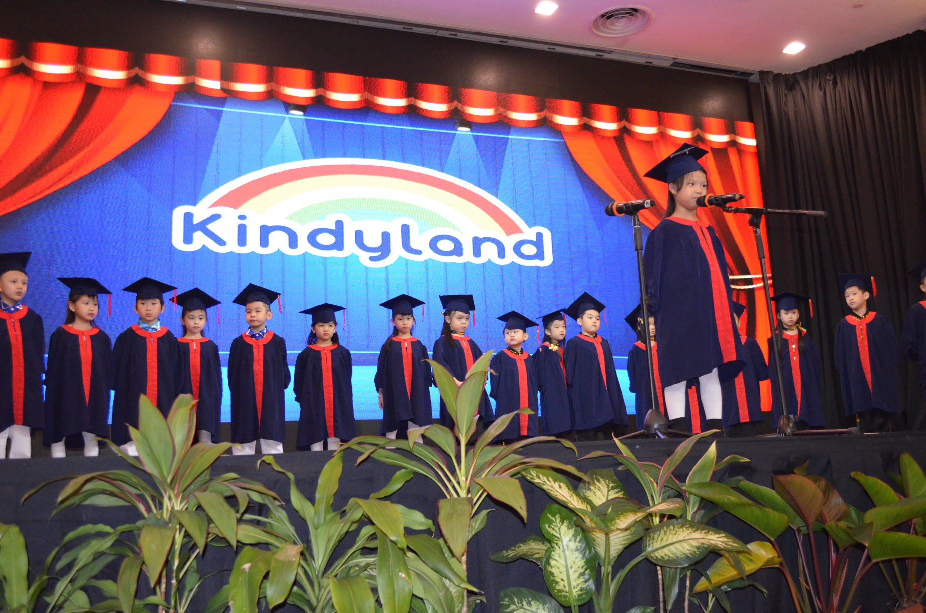 Kindyland Tropicana