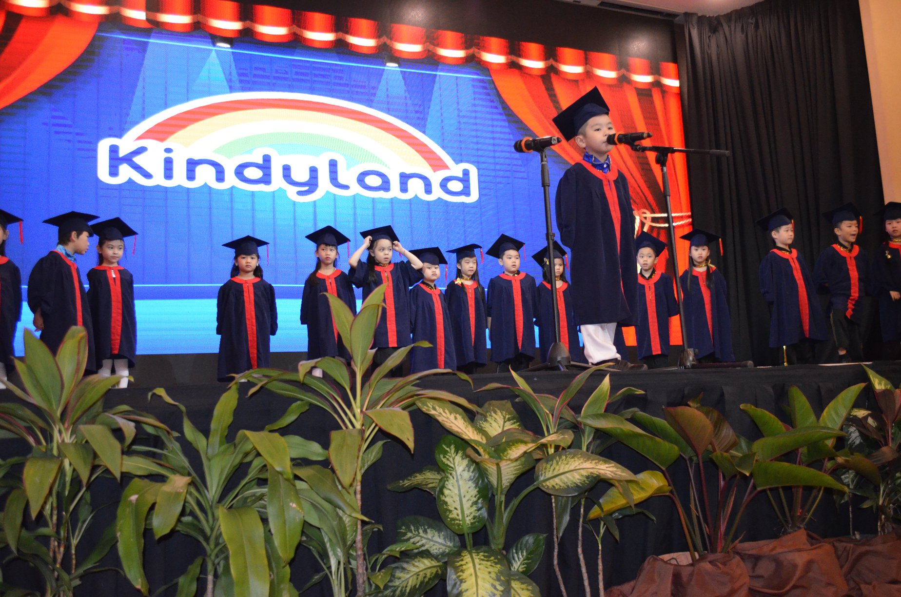 Kindyland Tropicana
