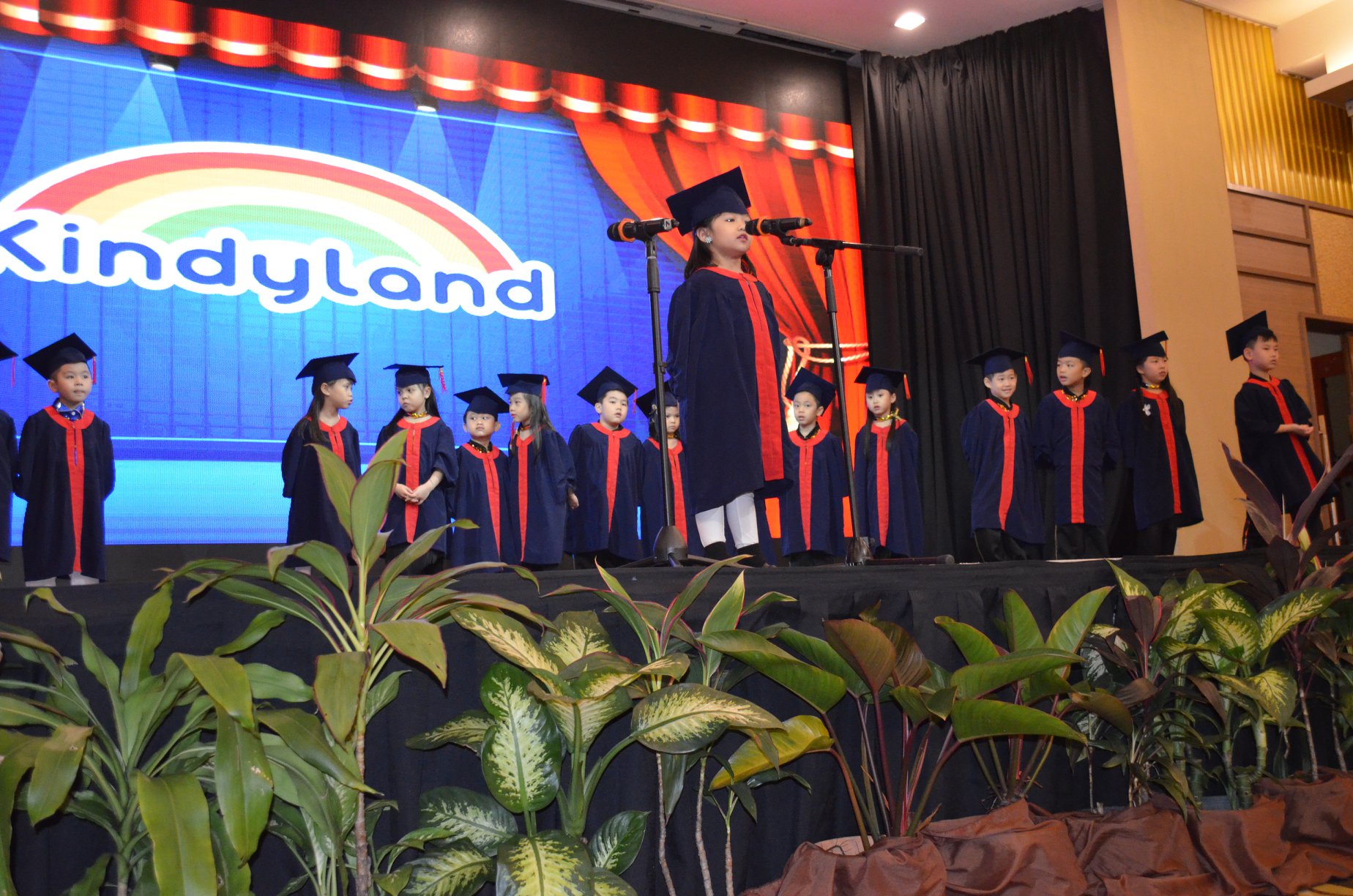 Kindyland Tropicana