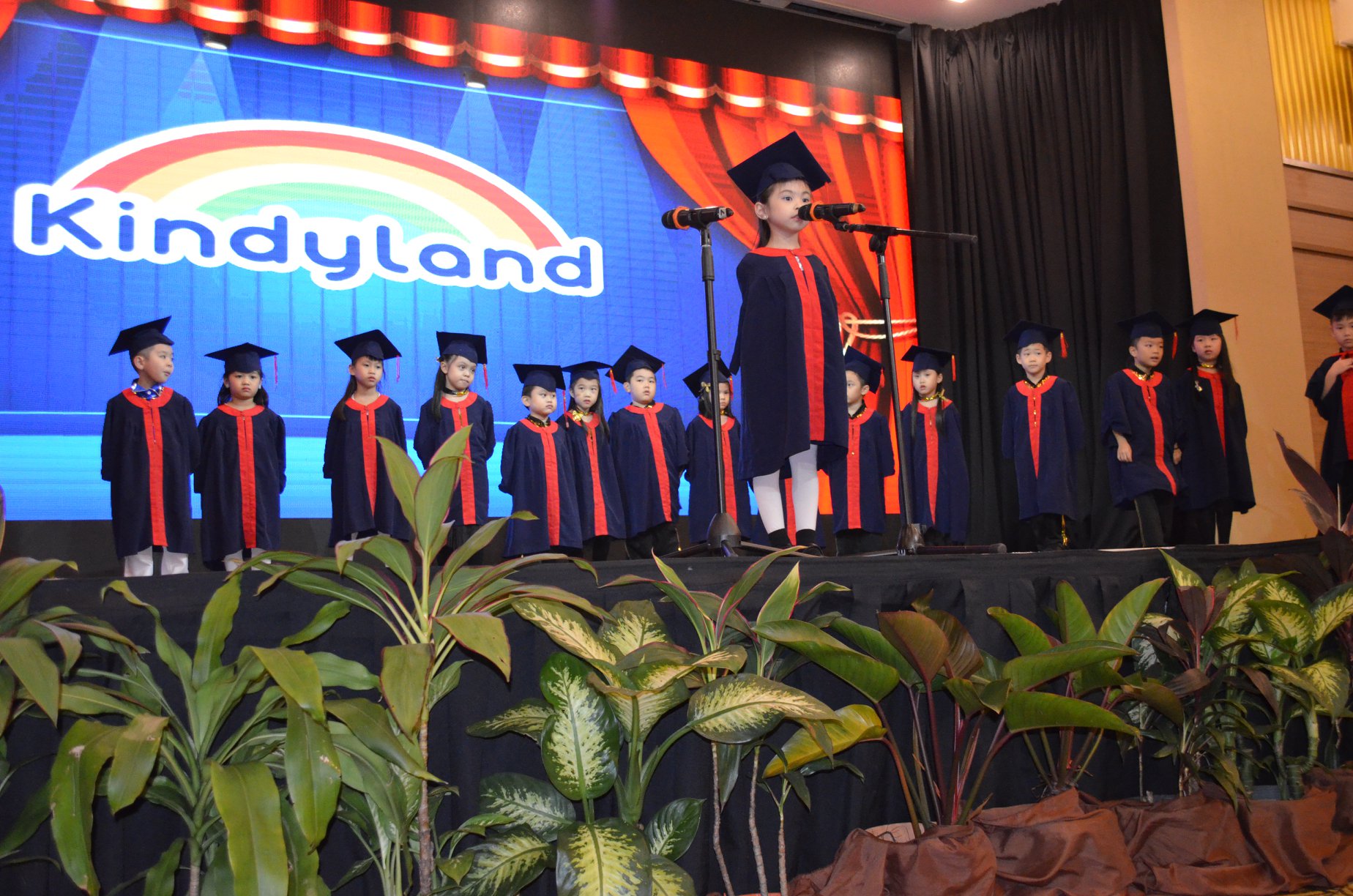 Kindyland Tropicana