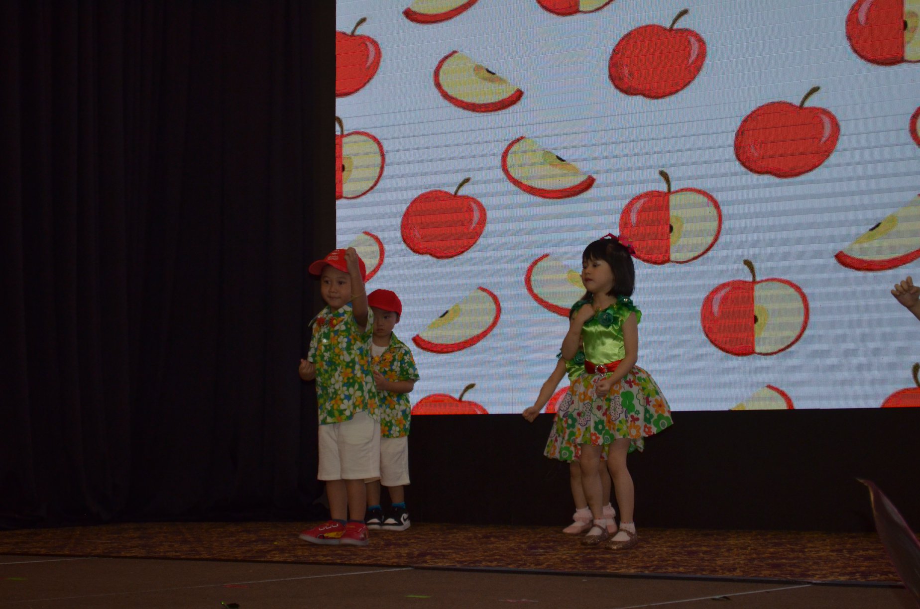 Kindyland Tropicana