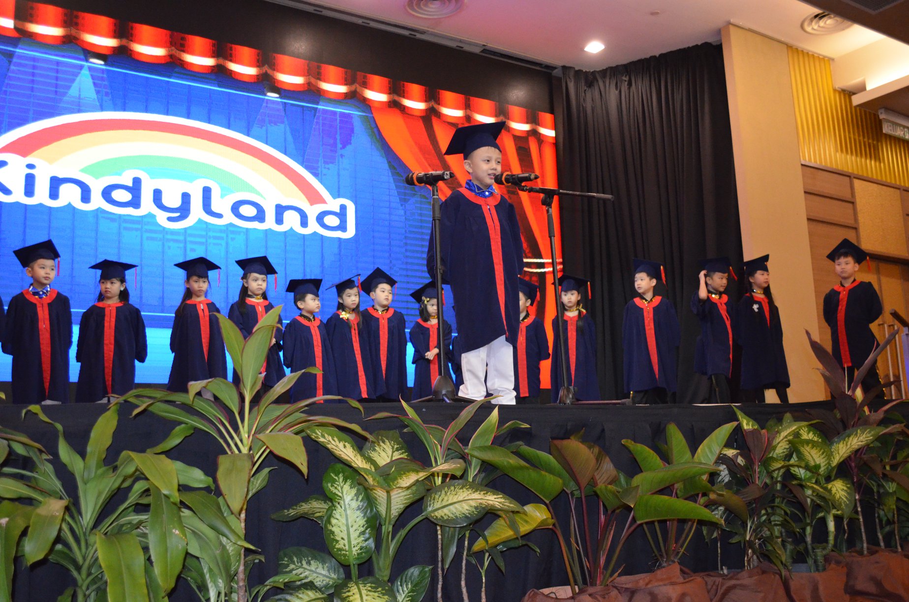 Kindyland Tropicana
