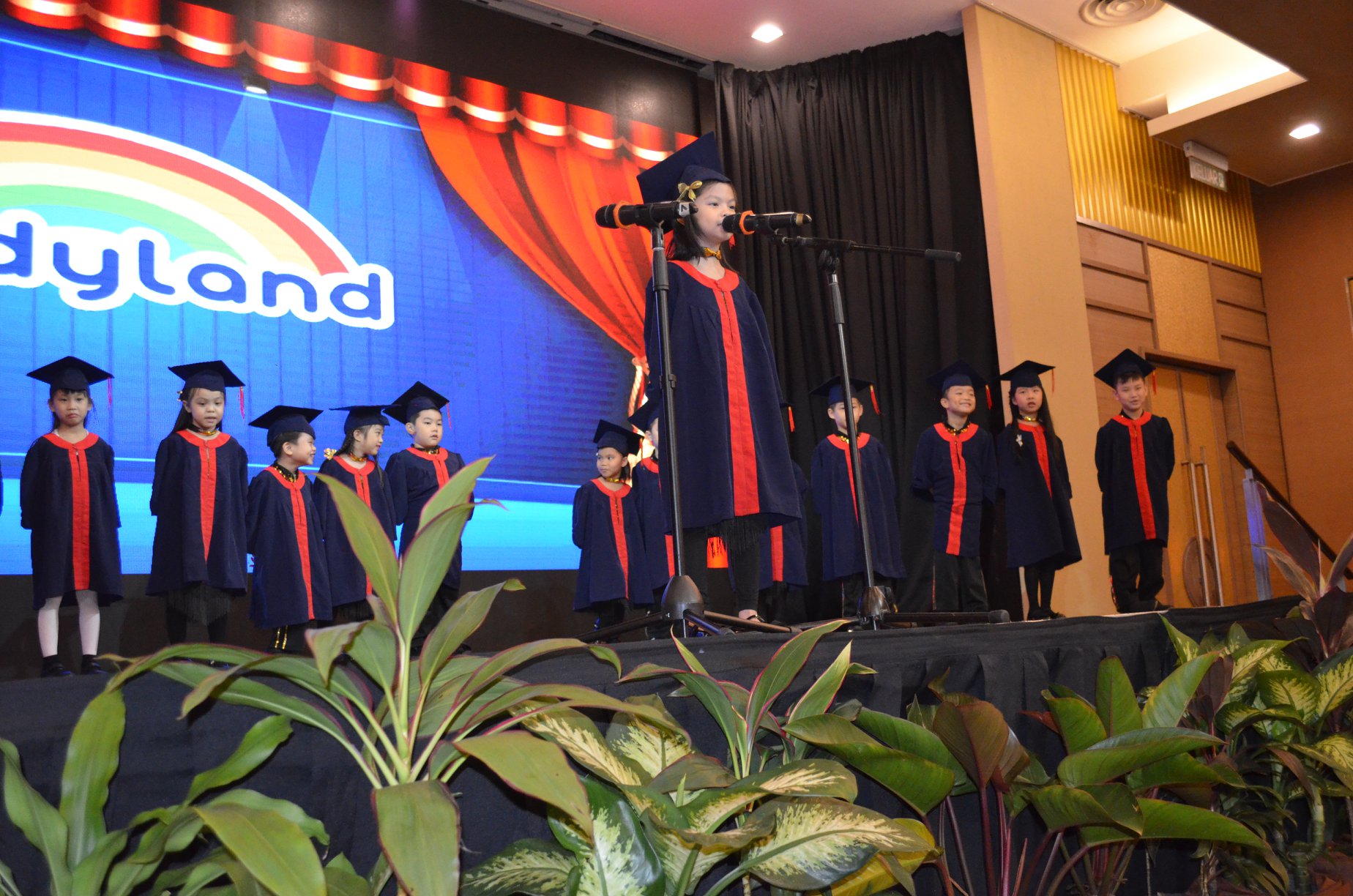 Kindyland Tropicana