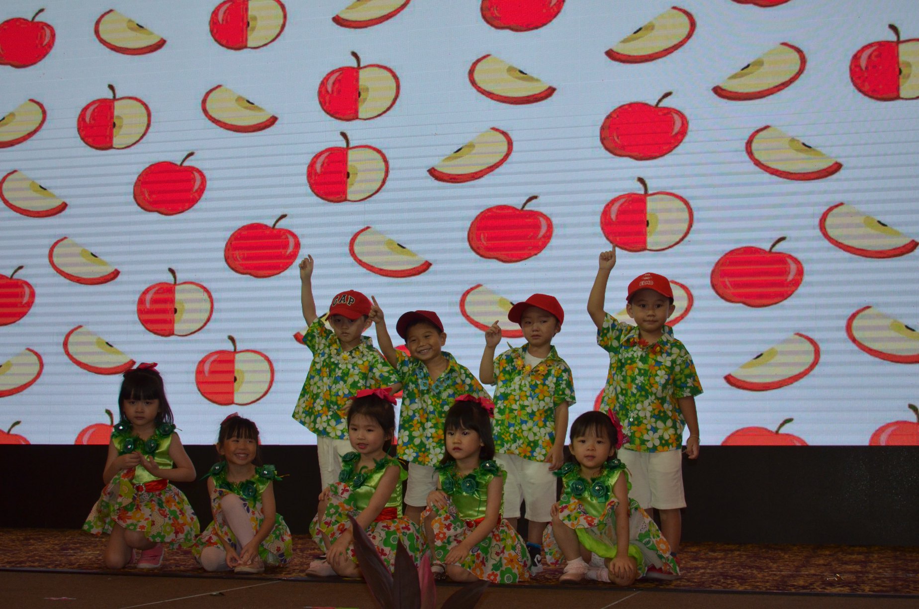 Kindyland Tropicana