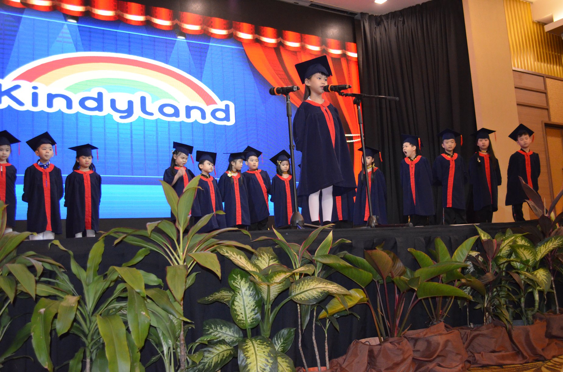 Kindyland Tropicana