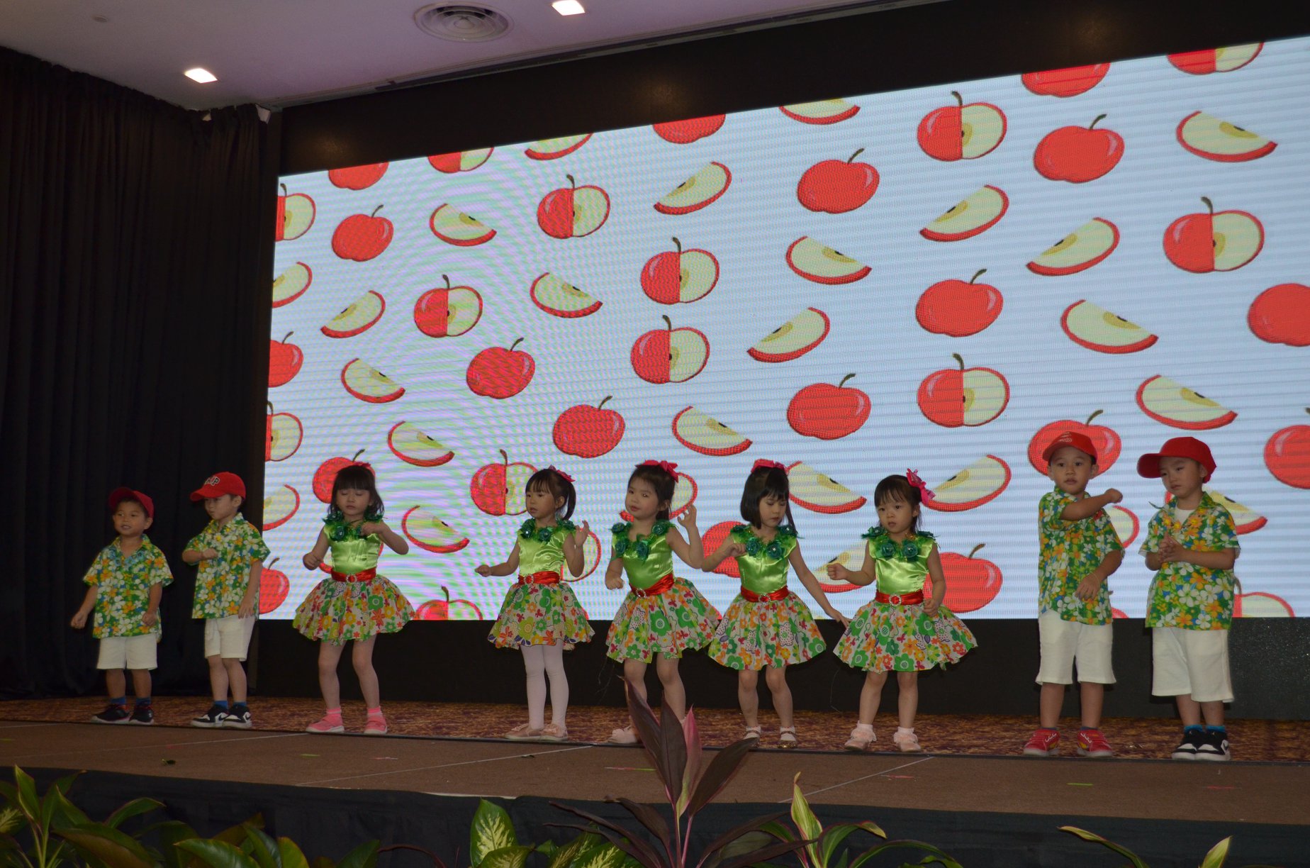 Kindyland Tropicana
